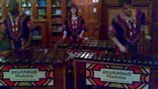 African Marimba  The sound of South Africa [upl. by Gnos48]