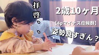 【4pマイナス症候群】ピナちゃんに色鉛筆を渡すとカオスでした。 [upl. by Mcmillan]