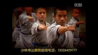 Shaolin Si Damo Yuan少林寺达摩院 [upl. by Oinegue81]