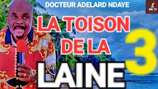 3ÈME PARTIE LA TOISON DE LA LAINE 🐑  Docteur Adelard Ndaye [upl. by Genny]