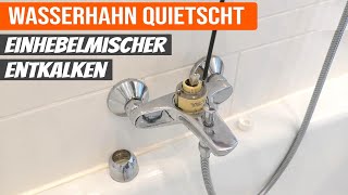 Wasserhahn reparieren  Einhebelmischer entkalken  Wasserhahn quietscht [upl. by Enoch]