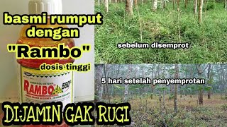 KALAU GAK BURUBURU BASMI RUMPUT PAKAI RAMBO 550 SL DIJAMIN 100 RUMPUT MATI GAK BIKIN RUGI [upl. by Darnell]