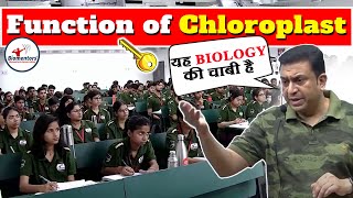 Chloroplast l Biology for NEET 2025 l Cell the unit of life [upl. by Gabrielli]