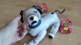 Muffit the Aibo ERS1000  A VERY drowsy little pup  Cuteness overload warning [upl. by Dene]