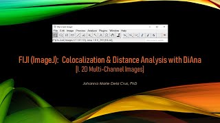 FIJI ImageJ Colocalization amp Distance Analysis with DiAna I 2D MultiChannel Images [upl. by Paschasia]