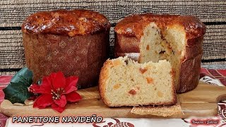 PANETON O PANETTONE NAVIDEÑO EL MEJOR DE TODOS DELICIOSO Y MUY FÁCIL PANETONE [upl. by Nirot455]