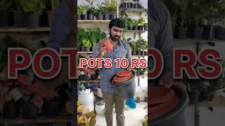 pots starting from 10 RS youtubeshorts reels ytshorts trending [upl. by Rimidalb382]