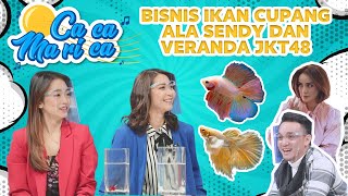 Caca Marica Behind The Scene  Bisnis Ikan Cupang ala Sendy dan veranda JKT48 I RTVlog [upl. by Grounds]