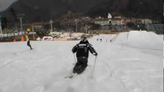 2007 Carving Ski Vs Mogul Ski Comparasion  Chang Keun KIM [upl. by Notsuh889]