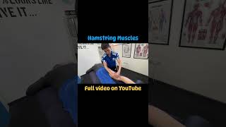 The Surprising Anatomy of Your Hamstrings [upl. by Sixel]