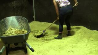 Cleaning a Horse Stable is super easy with Proteq Equine Bedding [upl. by Sand934]