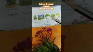 National Science Olympiad Class 4 Chapter 1 Terrestrial plants class4 nationalscienceolympiad [upl. by Brew]