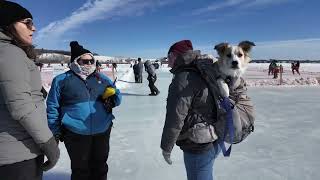 5th Annual Acadian Pond Hockey Tournament [upl. by Dever]