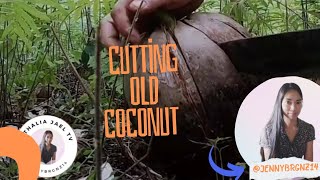 Athalia Jael Tv is live Another Satisfying ASMR Old Buko Peeling ASMR BUKO satisfying trending [upl. by Auvil]