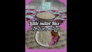 సామ బియ్యం అన్నం  Sama Biyyam Annam  How to cook Little Millet Rice  Samalu [upl. by Zuleika]