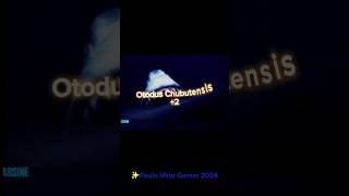 Otodus Megalodon vs Otodus Chubutensis sharkshortsvideobattleyoutube [upl. by Toinette]