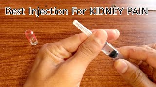 Get Rid of KIDNEY PAIN Fast [upl. by Fredkin649]