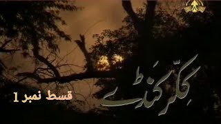 Ptv Drama Serial Kikar Kanday Episode 1 Ptv National [upl. by Dickman]