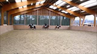 Quadrille Westfälischer Haflinger Sportverein [upl. by Monson]