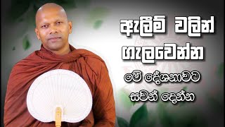 ඇලීම් වලින් ගැලවෙන්න  Niwathapa Thero  Niwana Soya buddha niwathapathero trending [upl. by Marzi]