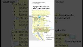 Sympathetic blockade from spinal anesthesia [upl. by Quiteris151]