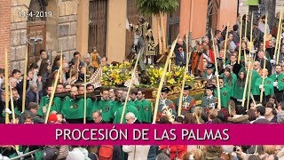 Procesión de las Palmas 2019  Domingo de Ramos Valladolid [upl. by Justine526]