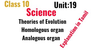 class 10 unit 19 theories of Evolution homologous heterologous organ Explanation in Tamil [upl. by Ahseenak]