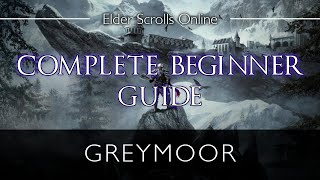 Elder Scrolls Online Complete Beginner Guide Greymoor Edition [upl. by Eybbob]