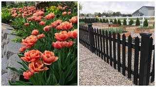 Spring Blooms amp Vegetable Garden Tour 🌸🥦😃 Garden Answer [upl. by Neala772]