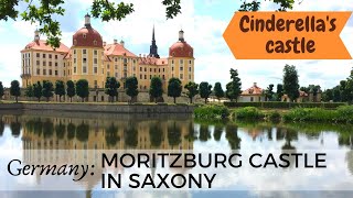 Moritzburg Castle A Perfect Day Trip Destination from Dresden [upl. by Okuy]