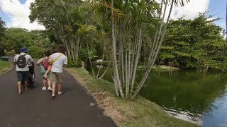 full walk Sir Seewoosagur Ramgoolam Botanical Garden pamplemousses mauritius POV [upl. by Munafo]