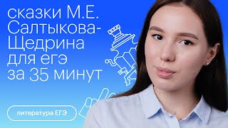 ПОВЕСТЬ О ТОМ КАК ОДИН МУЖИК ДВУХ ГЕНЕРАЛОВ ПРОКОРМИЛ  ОБЗОР  КРАТКОЕ СОДЕРЖАНИЕ [upl. by Anaylil]