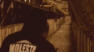 Molesta feat Wigor  Nikt i nic [upl. by Zeke585]