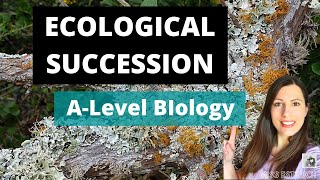 Ecological Succession Alevel biology Primary amp secondary succession ampeach seral stage explained [upl. by Nurse]