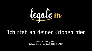 Ich steh an deiner Krippen hier  Gatzke Bach  legato m  Weihnachten 2022 [upl. by Othilie722]