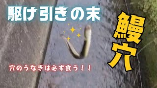 【うなぎ穴釣り】穴で待つ鰻を捕獲せよ！〜駆け引きを楽しむ〜 [upl. by Dust794]