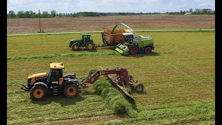 Making COW CHOW Wheat silage HARVEST 2020 [upl. by Erlene]