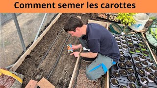 Comment semer les carottes au potager [upl. by Nirok]