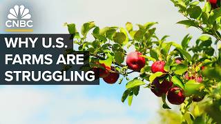 Why The US Isn’t Growing Enough Food [upl. by Elayor]