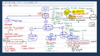 USMLE STEP 2 Rhuematology 1 [upl. by Nodarb]