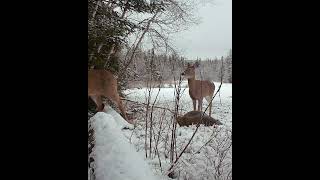 Baby warns its mom to be careful [upl. by Carola]