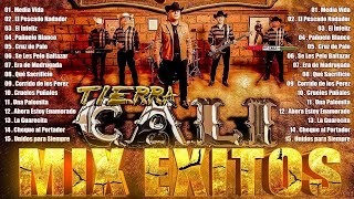 🎶✨Tierra Caliente Mix 2024🔥Top 50 Tierra Caliente Colección💥Tierra Cali Los Prayers Alfa7688 [upl. by Aitat535]