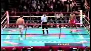 Pernell Whitaker vs Julio Cesar Vasquez [upl. by Clite578]