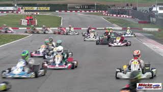 Deutsche KartMeisterschaft 2019 Lonato DKM Race 2 [upl. by Gamali581]