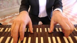 Johann Jakob Froberger Suite in re Marco Mencoboni harpsichord [upl. by Remos127]