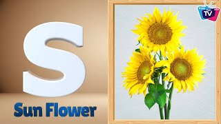 Flowers ABC Song  Flowers Alphabet Song for Toddler  Phonics for Kids  Alphabet Letters [upl. by Pell]