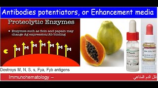 Lecture 115 Antibodies potentiators or Enhancement media [upl. by Venezia]