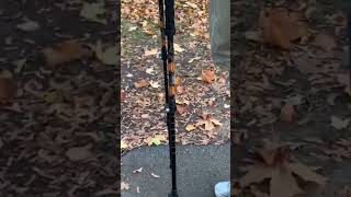 Cascade Mountain Tech Trekking Poles [upl. by Domela]