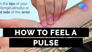 How to Feel a Pulse  Radial amp Brachial Pulses  OSCE Guide  UKMLA  CPSA [upl. by Wack]