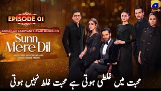 Sun Mere Dil Episode 1  Wahaj Ali  Maya Ali  Hira Mani  Usama Khan  Farimeer [upl. by Gadmann440]